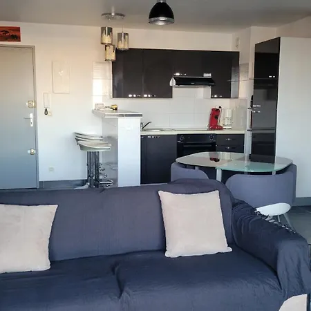 Apartment Grand Avec Ascenseur, Parking Et Terrasse Sète